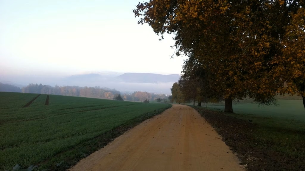 Erfolgreiche Strukturverbesserung
